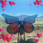 Glenda Meyer - @mypetpeevegodfrey - Instagram