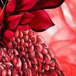 Glenda Meyer - @tecrose13 - Instagram