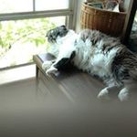 Glenda Meyer - @glenda.meyer.332 - Instagram