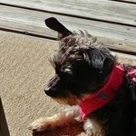 Glenda Meyer - @glenda.meyer.14 - Instagram