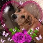 Glenda Meyer - @glenda.meyer.712 - Instagram