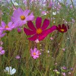 Glenda Meyer Vermaak - @glendavermaak - Instagram