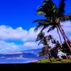 glenda_meyers - @glenda_meyers - TikTok
