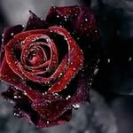 glenda  diane. Morrow - @glendadiane.morrow - Instagram