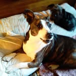 Glenda Diane Morrow - @glendadianemorrow - Instagram