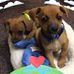 Glenda Munson - Facebook