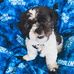 Glenda Nance - Facebook