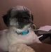Glenda Nance - Facebook