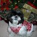 Glenda Neff - Facebook