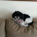 Glenda Neff - Facebook
