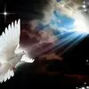 glendapatton755 - @glendapatton755 - TikTok