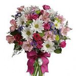 glendapoppell51@gmail.com. - @glendapoppell51 - Instagram