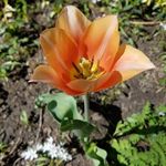 Glenda Plummer - @annahknits - Instagram