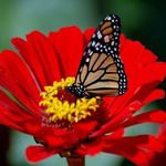 Glenda Porter - @glenda_porter_53 - Instagram