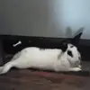 glendaprater889 - @glendaprater889 - TikTok