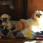 Glenda Roark - @gle162 - Instagram