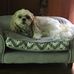 Glenda Roark - Facebook