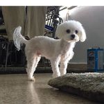 Glenda Robles - @glendarobles4 - Instagram