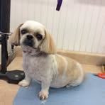 Glenda- Sugar Self - Facebook