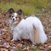 Glenda Sharp - Facebook