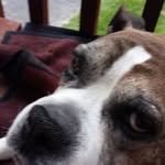 Glenda Sharp - @glenda.sharp.750 - Instagram