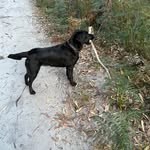 Glenda Sharp - @gjsharp56 - Instagram