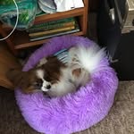 Glenda Sharp - @glenda.sharp.77 - Instagram