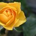 Glenda Simpson - Facebook