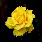 Glenda Simpson - @glenda.simpson.1293 - Instagram