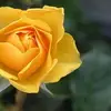 glendasimpson54 - @glendasimpson54 - TikTok