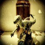 Glenda Steele - @glendasteele44 - Instagram