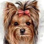 Glenda Wall - @thehaircastle_ - Instagram