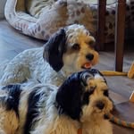 Glenda Wall - @glendawall9944 - Instagram