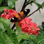 Glenda Ware - @glendaware13 - Instagram