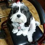Glenda Ware Smith - @leftyglenda - Instagram