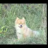 Glenda Wolfe972 - @glendawolfe50 - TikTok
