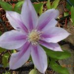 Glenda Wolfer - @glendawolfer - Instagram