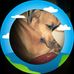 Glenda Wright - Facebook