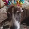 Glendaly Hernandez - @glendaly.hernande - TikTok