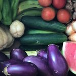 Glendaly Rivera - @the_glendys_farms_corp - Instagram