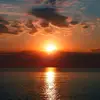 glenda1234561 - @glendaelmore387 - TikTok