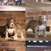 Glendora Wilsonpayne - Facebook