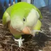 Glendy Morales - @glendy_morales - TikTok