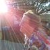 Glenace Brown - Facebook