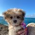 Glenise Smith - Facebook