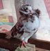 Glenn Abraham Dele - Facebook