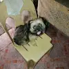glennAbraham - @blossom2485 - TikTok