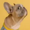 glennabrahams695 - @glennabrahams695 - TikTok