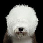 Glenn Abrams - @glennso69 - Instagram