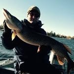 Glenn Allan - @allan_glenn - Instagram